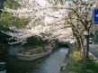 京の春～２００５年
