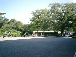 京都会館別館前の広場